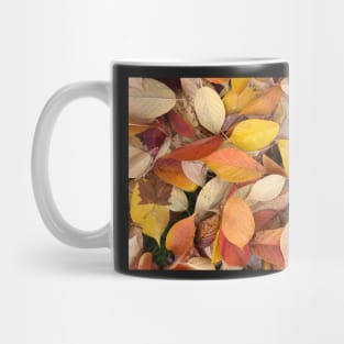 Forest Bathing with Fall Leaves Mug